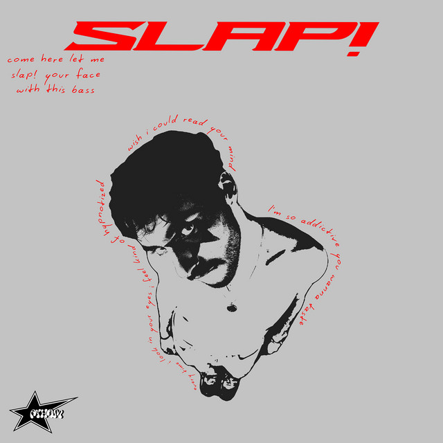 Slap! cover art