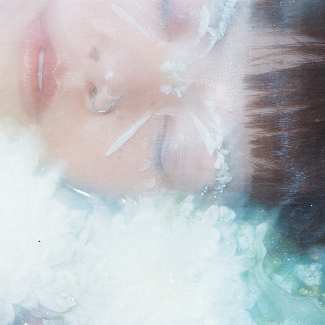กรุ่นเกสร cover art