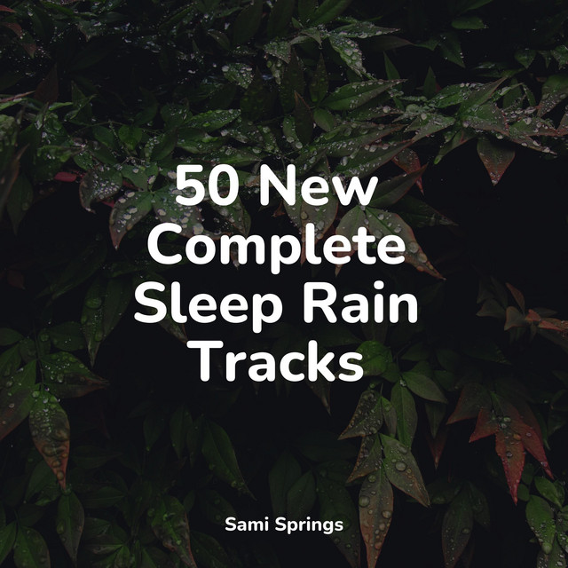 50 New Complete Sleep Rain Tracks - Album by Chillout Lounge | Spotify