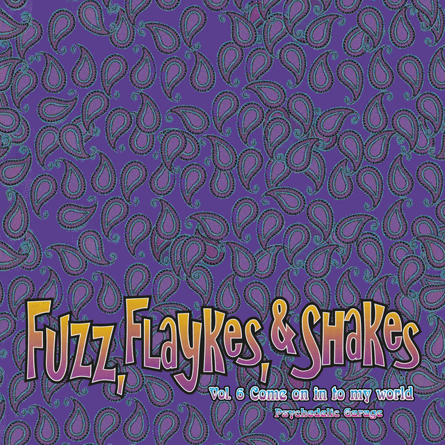 Fuzz, Flaykes & Shakes, vol. 6 cover