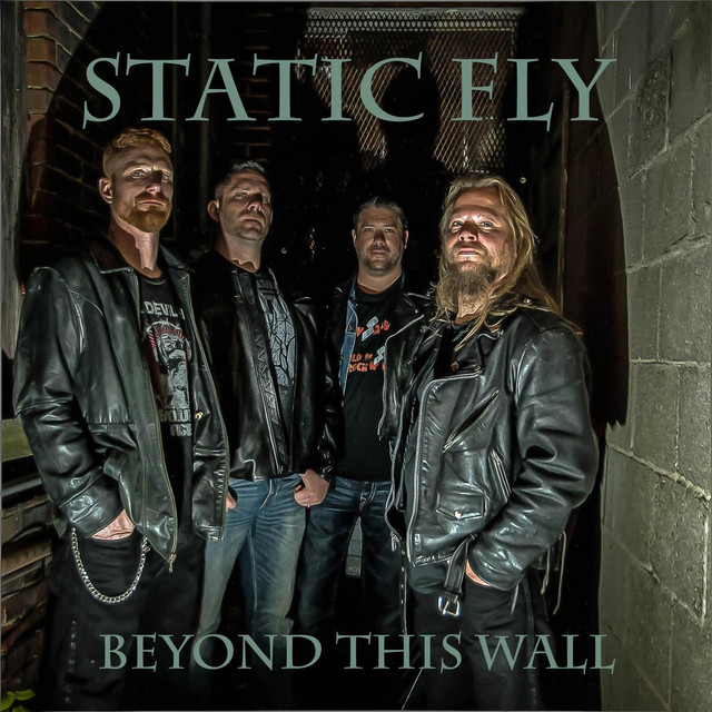 Wondering Why - song and lyrics by Static Fly | Spotify