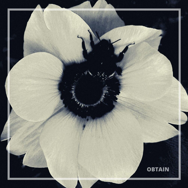 Obtain cover
