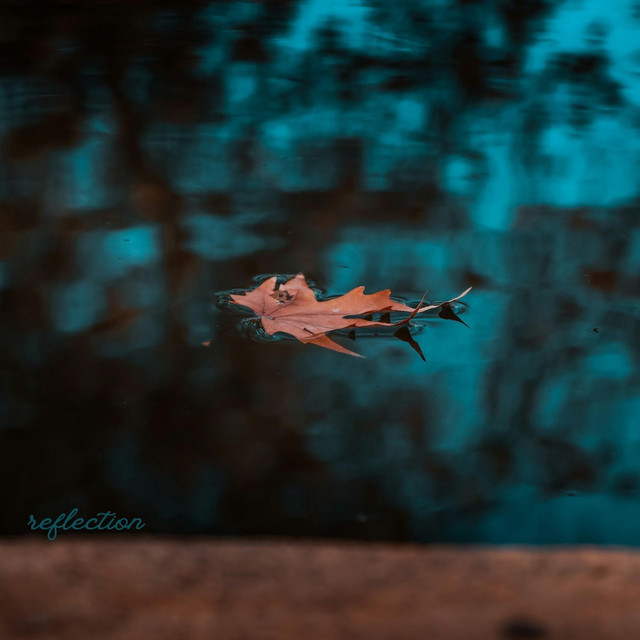 reflection