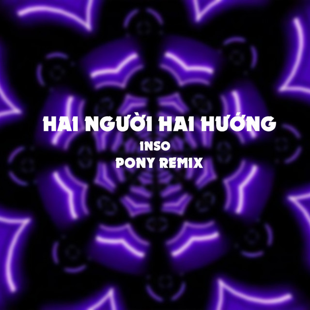 Hai Người Hai Hướng - Pony Remix