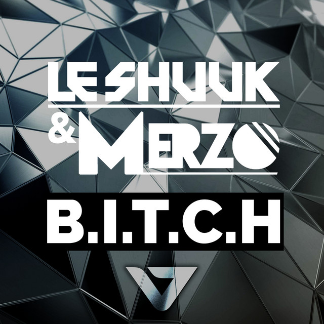 B.I.T.C.H cover