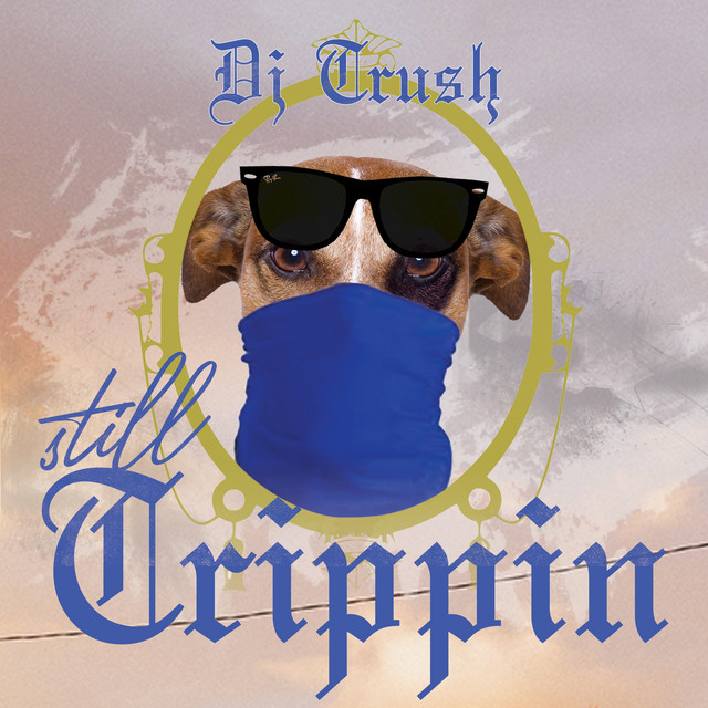Still Trippin cover art