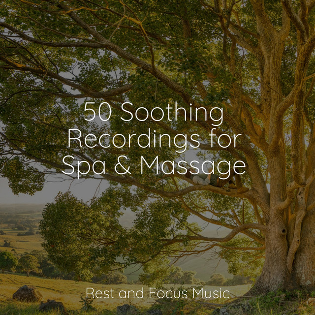 50 Soothing Recordings for Spa & Massage - Album by Sleep Sounds of ...