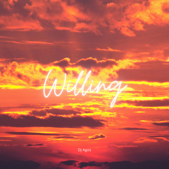 Willing (Remix) cover art