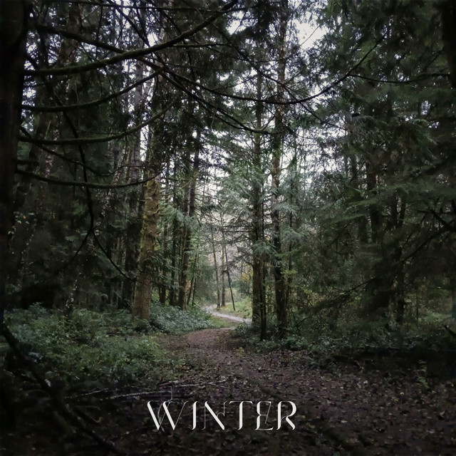 In Winter (single)