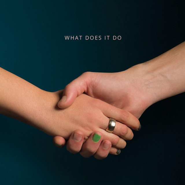What Does It Do cover art