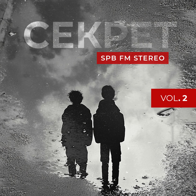 SPB FM Stereo, Vol. 2 cover art