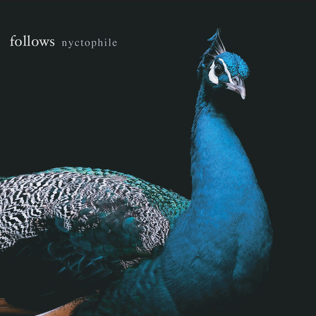 Nyctophile cover art