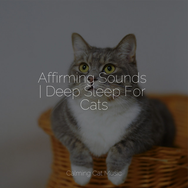 Affirming Sounds | Deep Sleep For Cats - Album by Music for Cats Deluxe ...