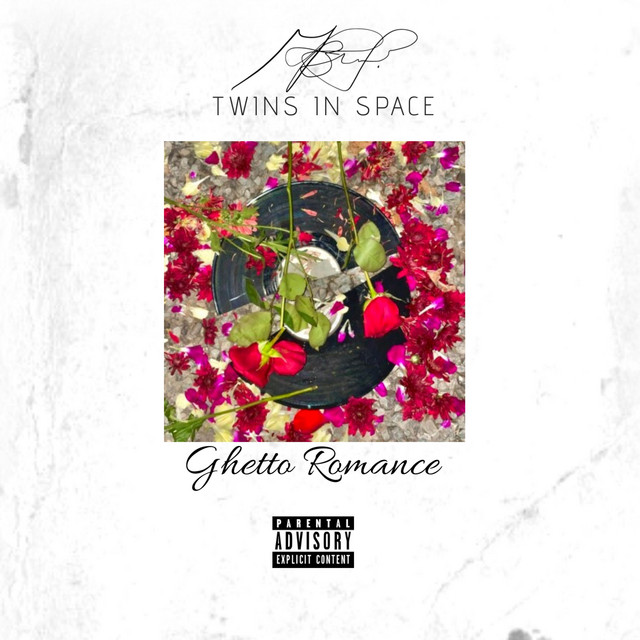 Space Twins Photo