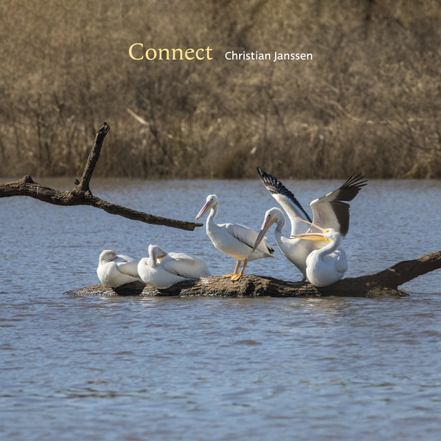 Connect