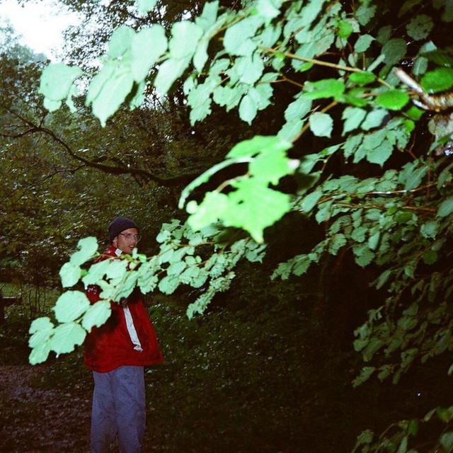 Dunkler album image