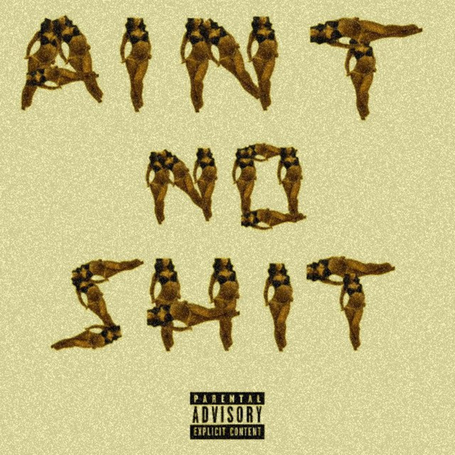 AINT NO SHIT