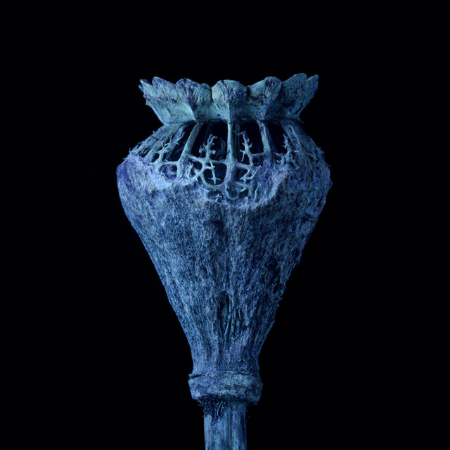 As Breath cover art