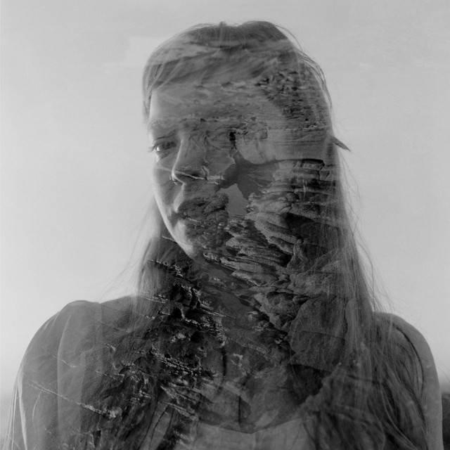Seabird+ cover art