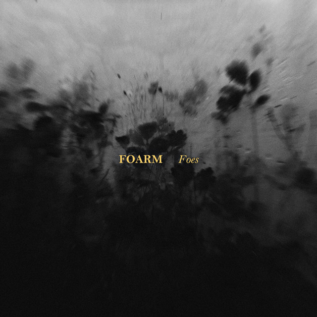 Foes cover art