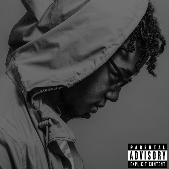 Switch Lanes cover art