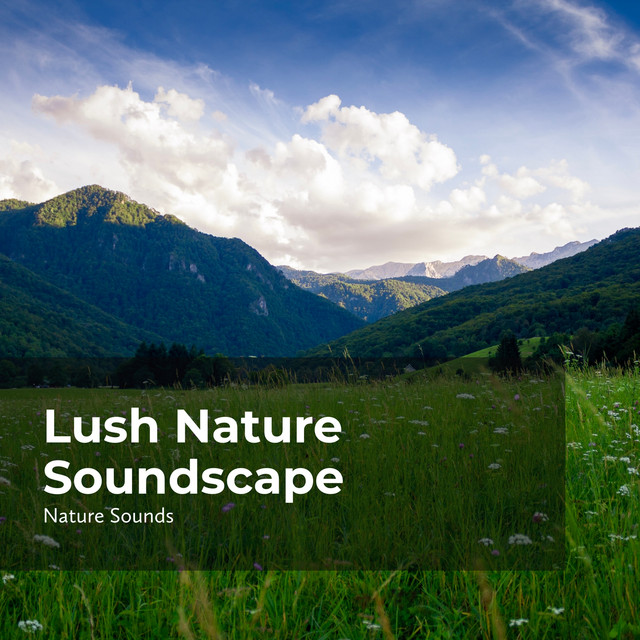 Lush Nature Soundscape - Album by Sleep Sounds of Nature | Spotify