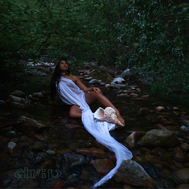 drip cover art