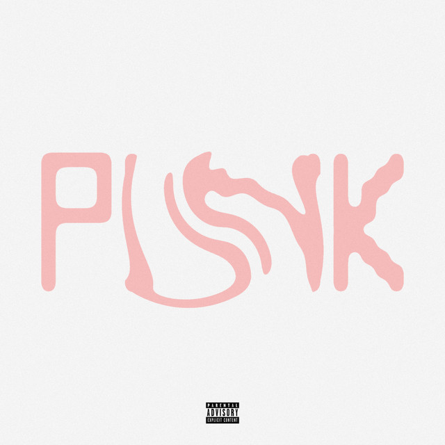 PUNK! cover art