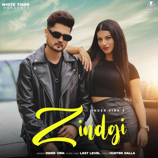 Zindgi by Inder D Last Level