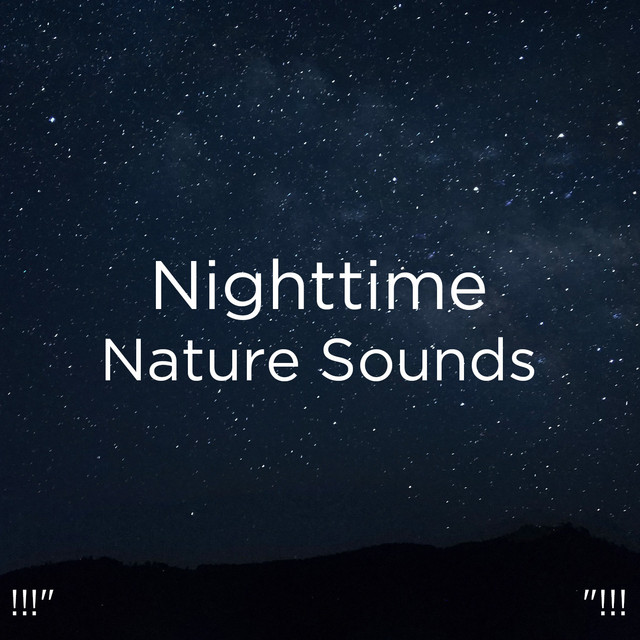!!!" Nighttime Nature Sounds "!!! cover art