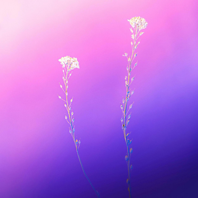 Subtle Impressionism cover art