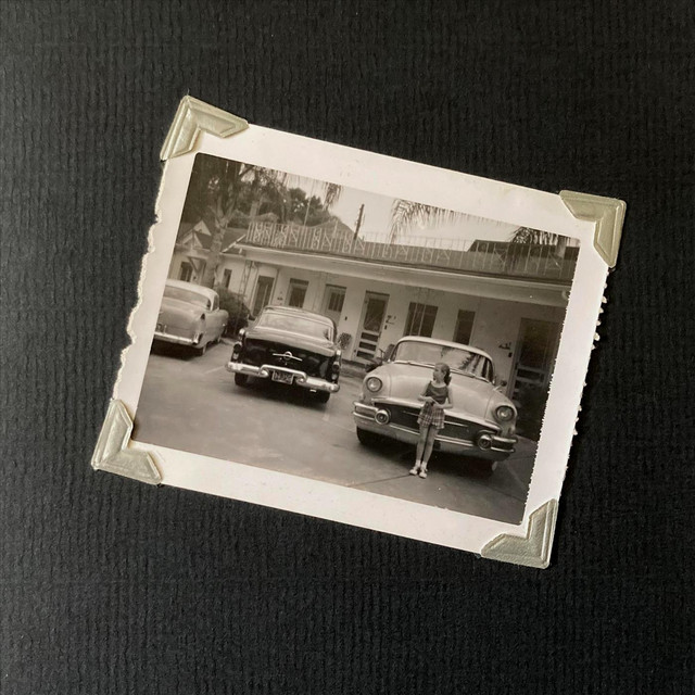 Nothing to See Here cover art