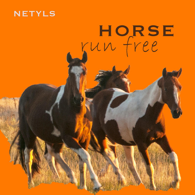 HORSE run free