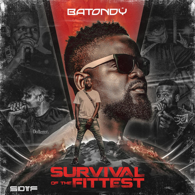Batondy image