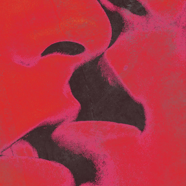FLESH cover art