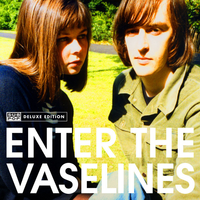 Enter The Vaselines cover art