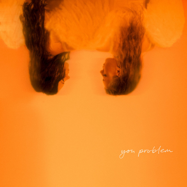 you problem cover art