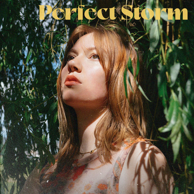 Perfect Storm cover