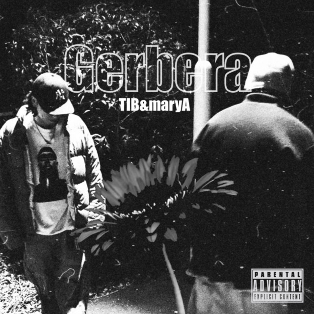 Gerbera cover art