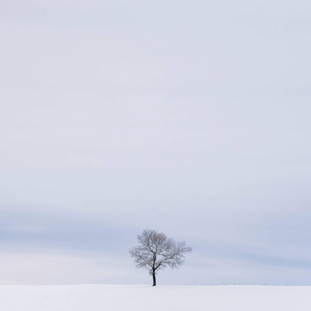 Winter Solstice - Prelude BWV 853 Reimagined
