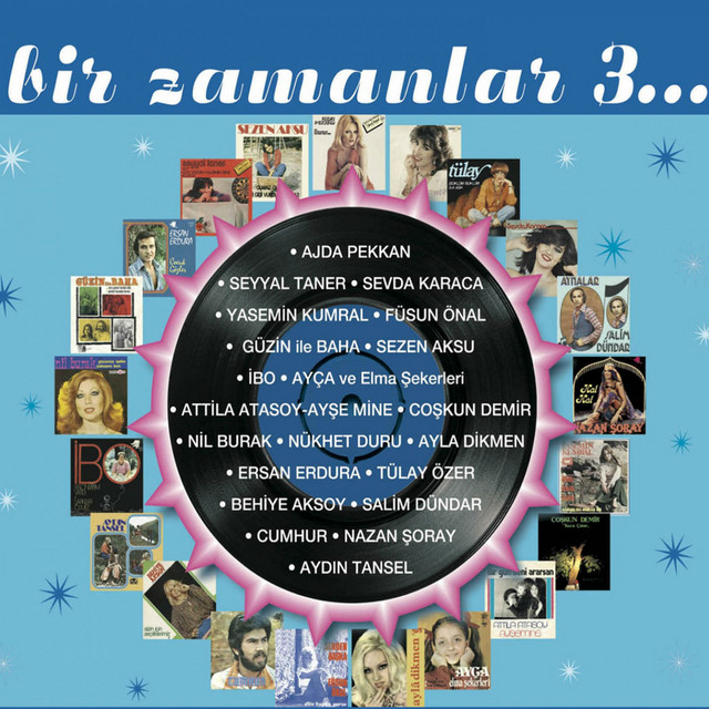 Anlamazdın