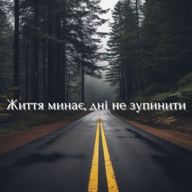 Обкладинка: Життя минає, дні не зупинити — Valeriy Petrechenko