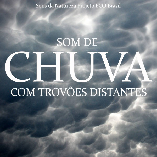 Som de Chuva Com Trovões Distantes cover art