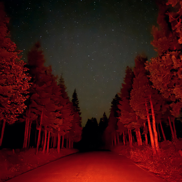 Is There Anybody out There?