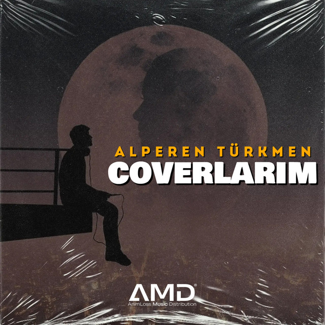 Coverlarım cover art