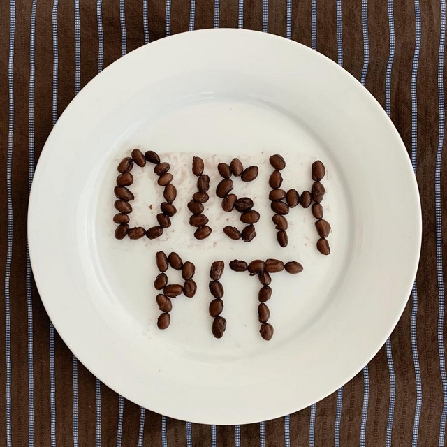 DISH PIT cover art