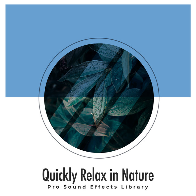 Quickly Relax in Nature - Album by Pro Sound Effects Library | Spotify