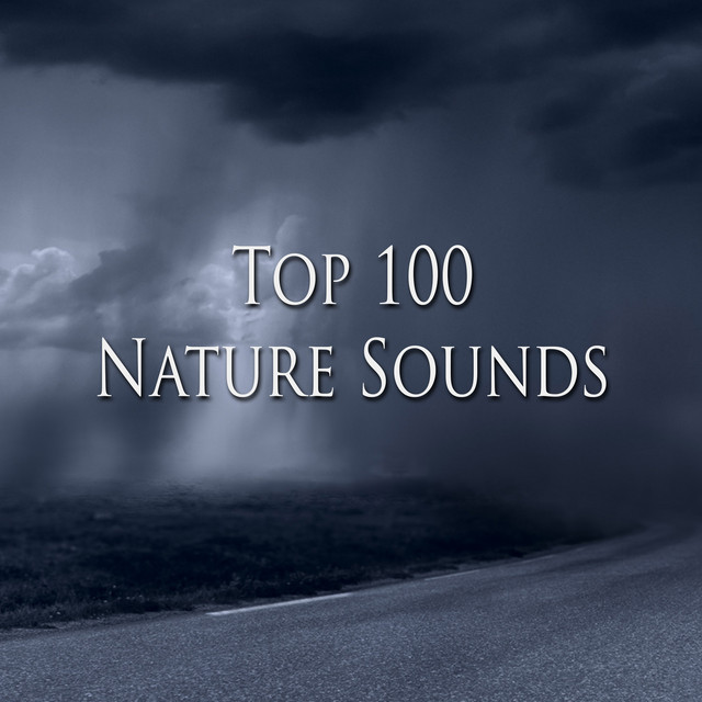 Top 100 Nature Sounds (Sleep) cover art