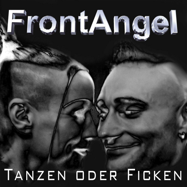 Tanzen Oder Ficken cover