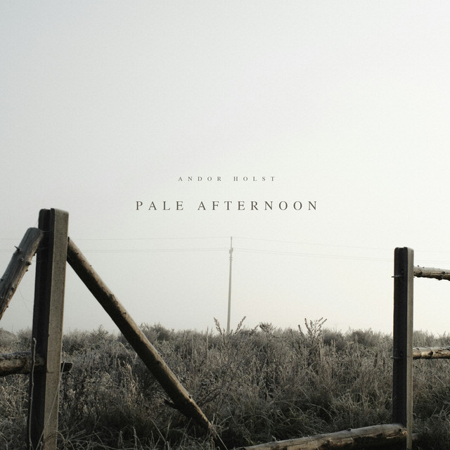 Pale Afternoon
